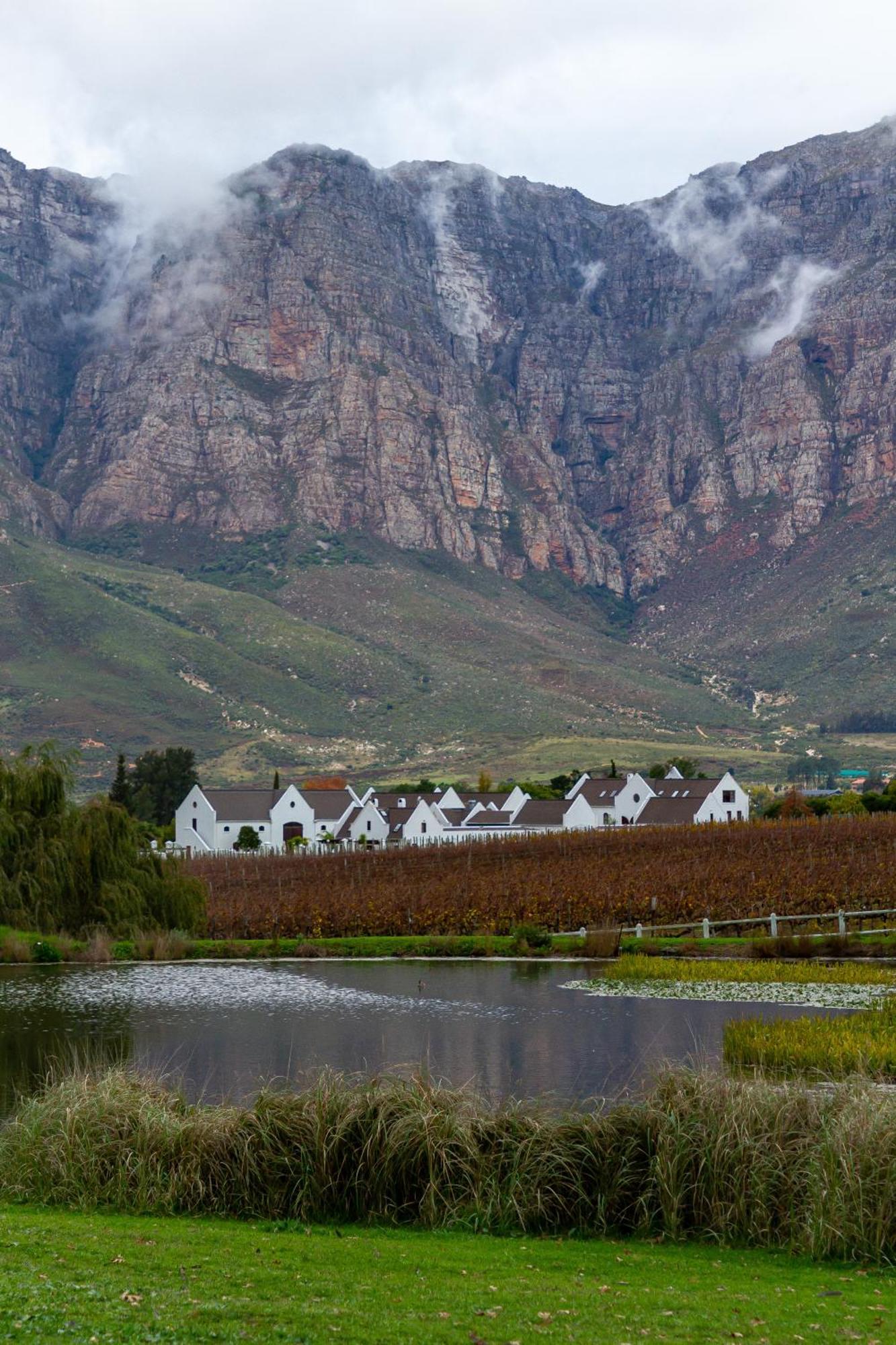 Zorgvliet Wines Country Lodge Стелленбос Екстер'єр фото