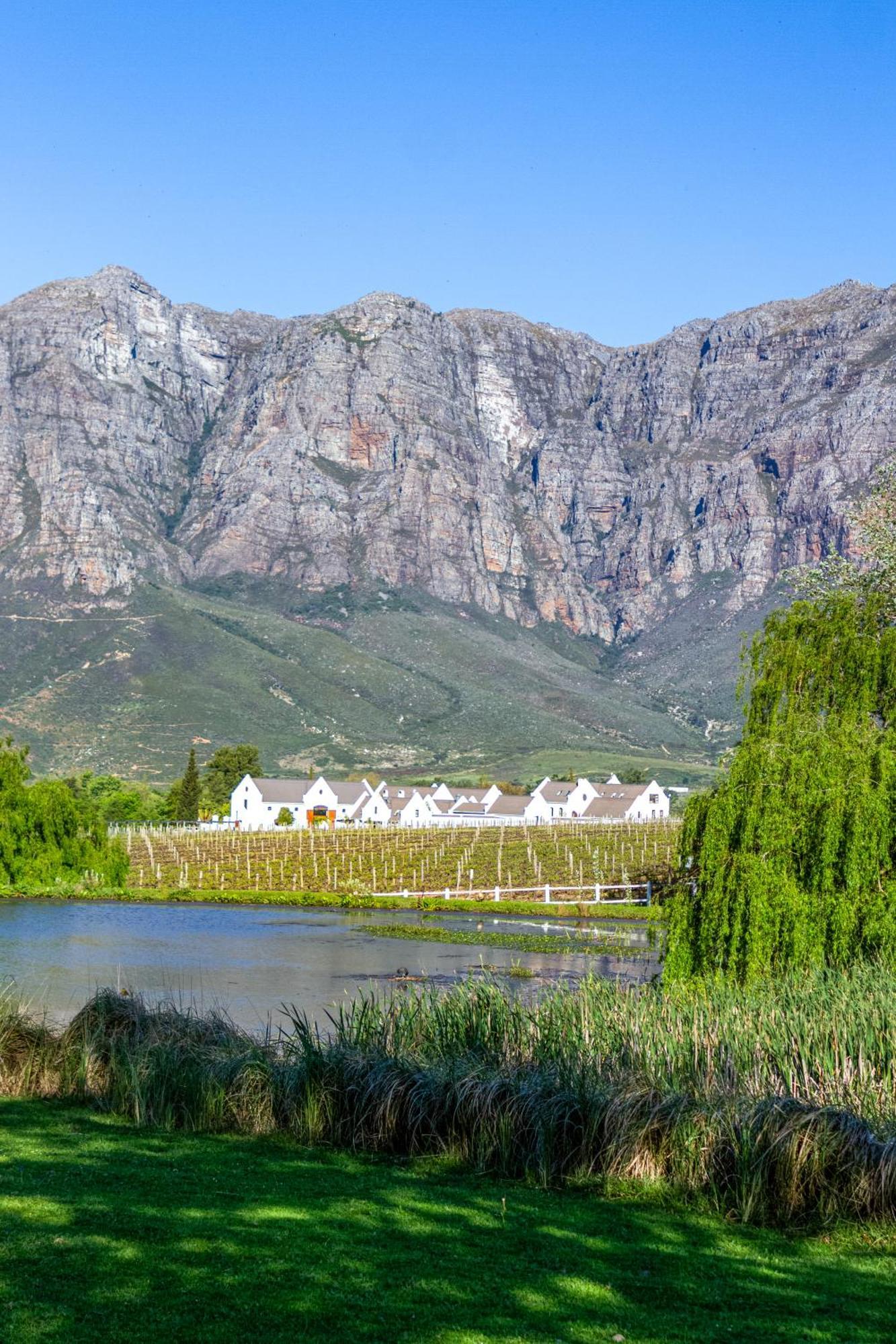 Zorgvliet Wines Country Lodge Стелленбос Екстер'єр фото