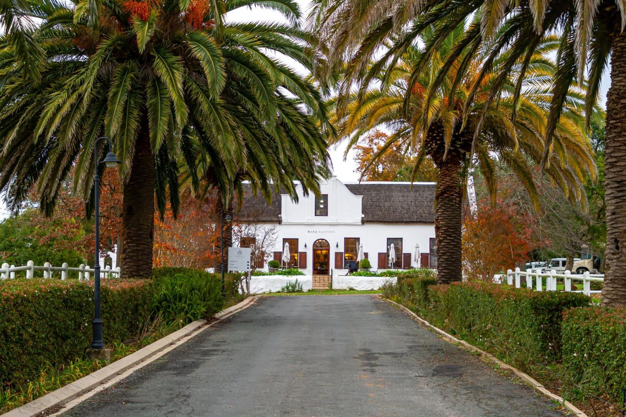 Zorgvliet Wines Country Lodge Стелленбос Екстер'єр фото