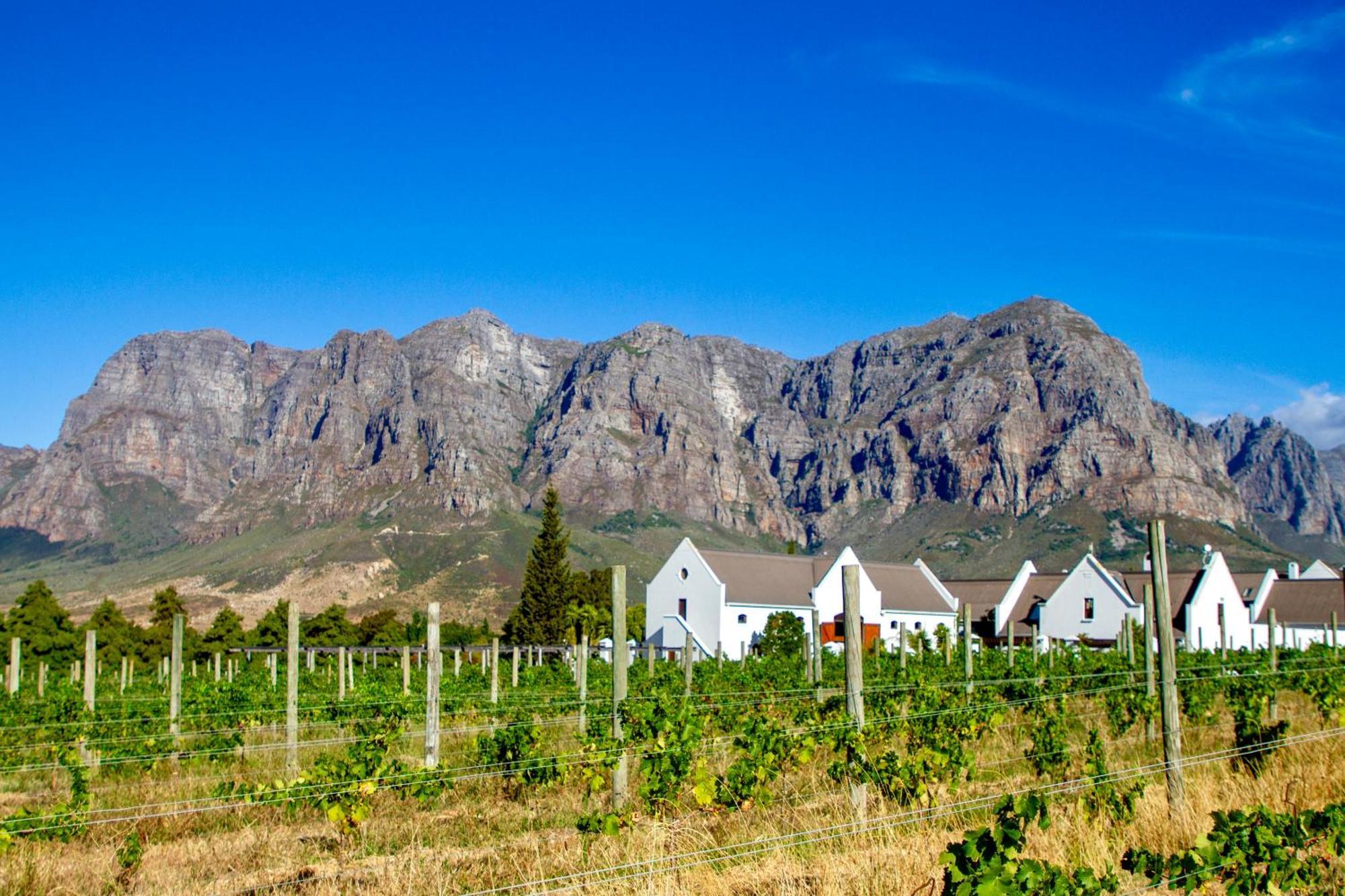 Zorgvliet Wines Country Lodge Стелленбос Екстер'єр фото
