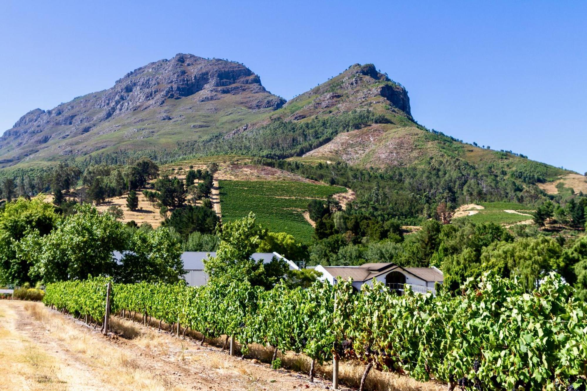 Zorgvliet Wines Country Lodge Стелленбос Екстер'єр фото